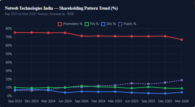 Shareholding Pattern: Who Is Buying Netweb Technologies India?